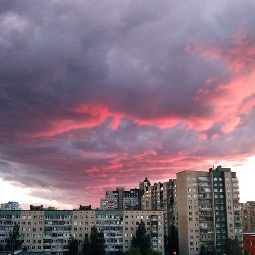 Фотография #13765617
