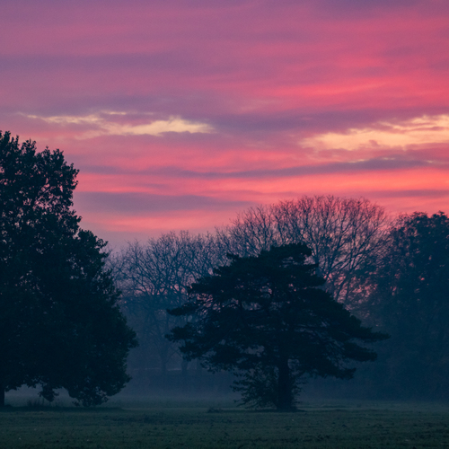 Photo #13765632