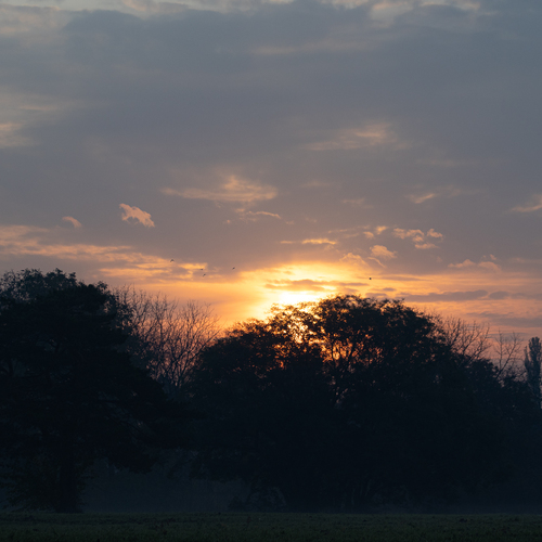 Photo #13765633