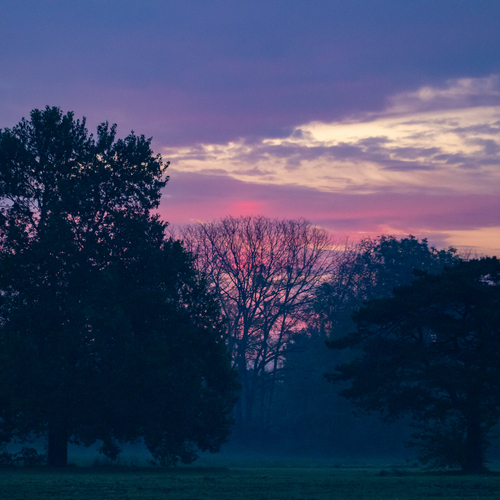 Photo #13765644