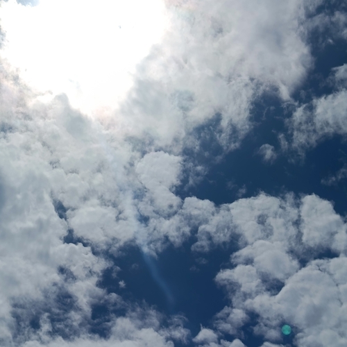 Photo #13765671