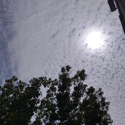 Photo #13765672