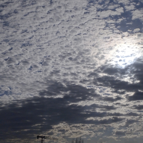 Photo #13765673