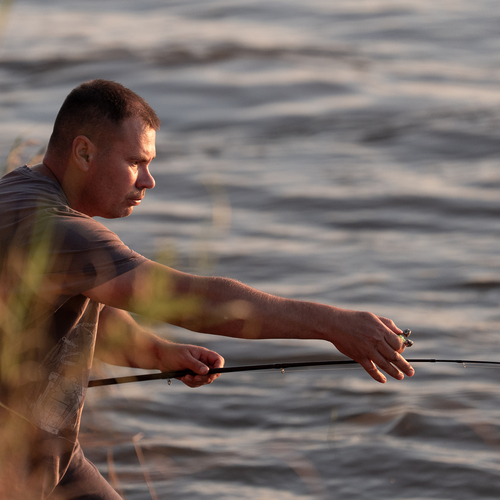 Photo #13765715