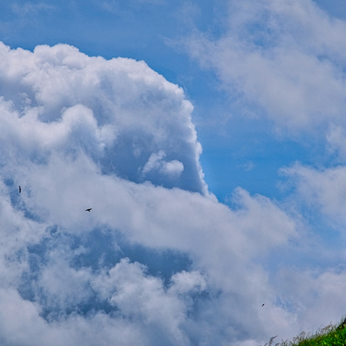 Under the Same Sky