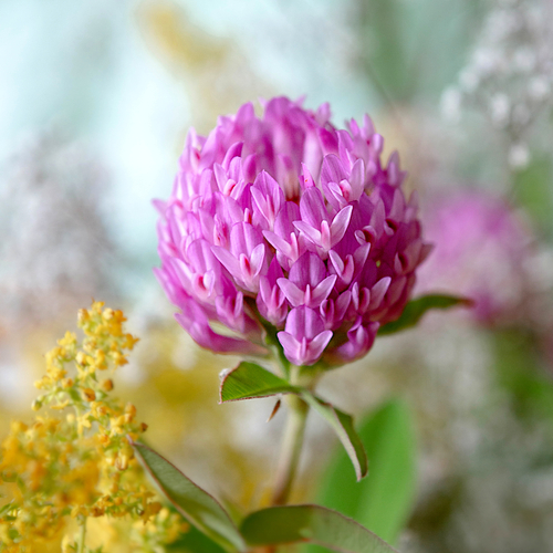 Photo #13765742