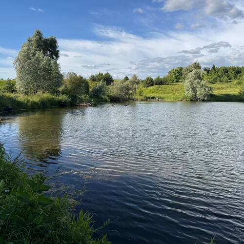 Photo #13765771