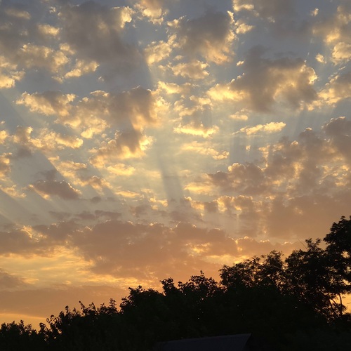 Photo #13765786
