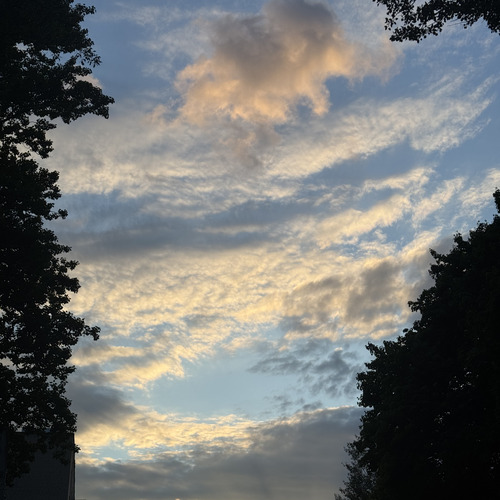 Photo #13765811