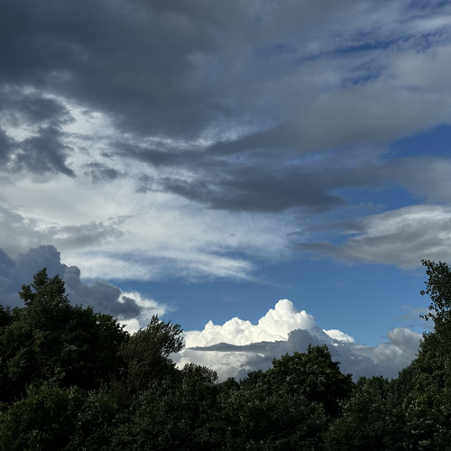Photo #13765812