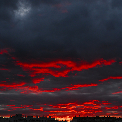Photo #13765909