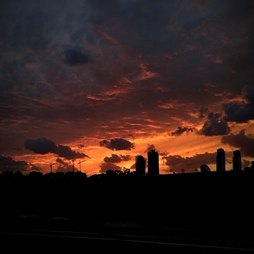 Photo #13765919