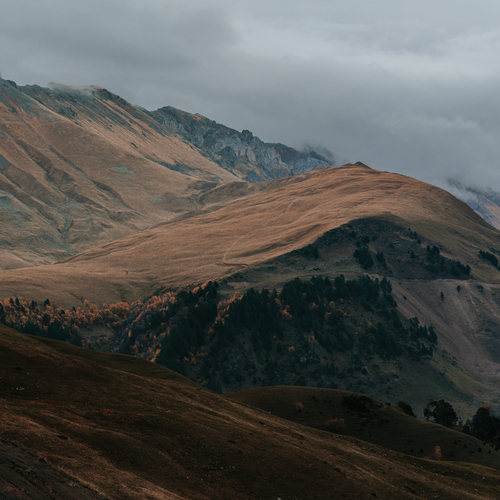 Photo #13765933