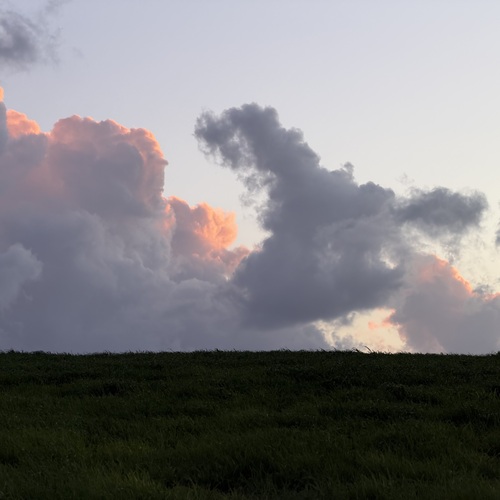 Photo #13765949