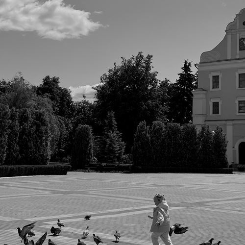 Photo #13766054