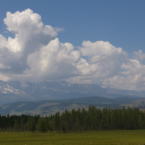 Photo #13766058