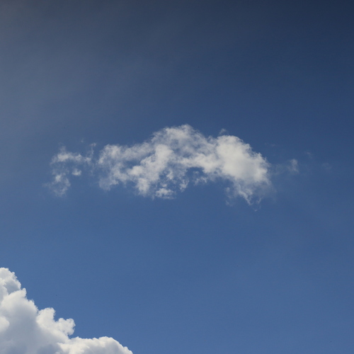 Photo #13766061