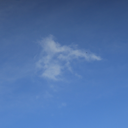 Photo #13766067
