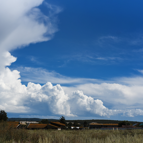 Photo #13766120