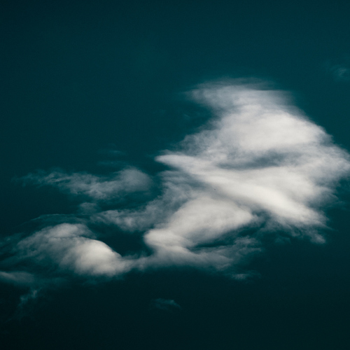 Photo #13766139