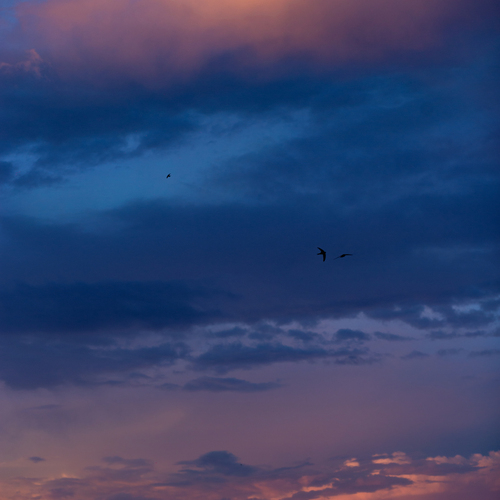 Photo #13766174