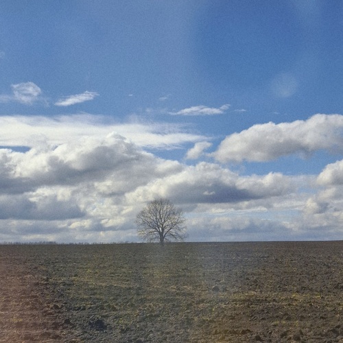 Photo #13766199