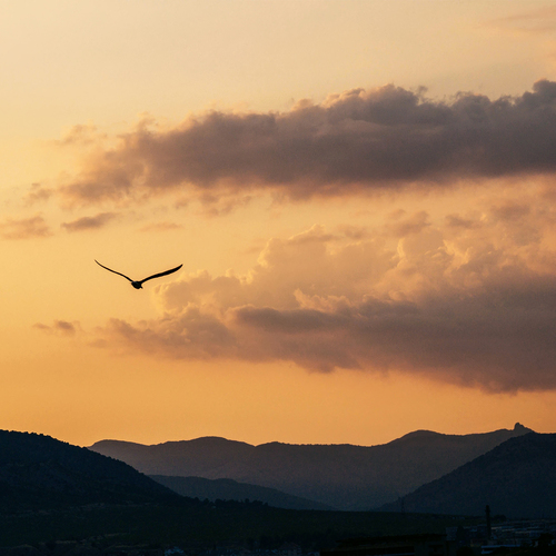 Photo #13766200