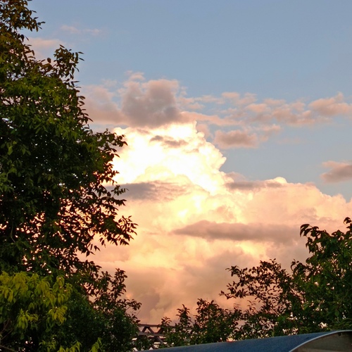 Photo #13766226