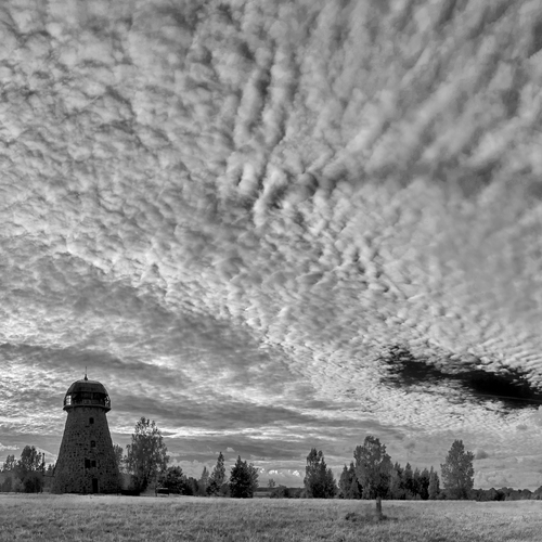 Photo #13766250