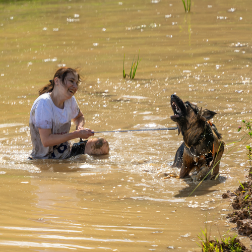 Photo #13766261