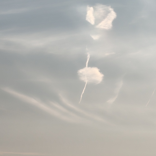 Photo #13766262