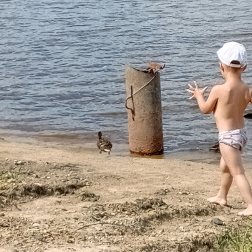 Photo #13766273