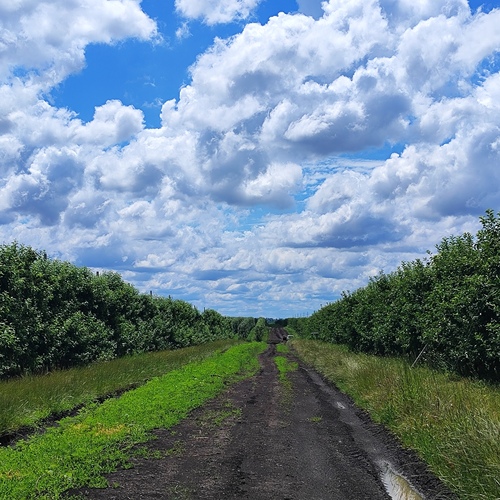 Photo #13766319