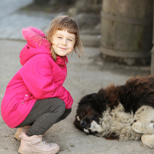 Photo #13766350
