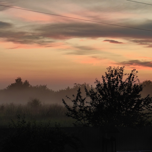 Photo #13766358