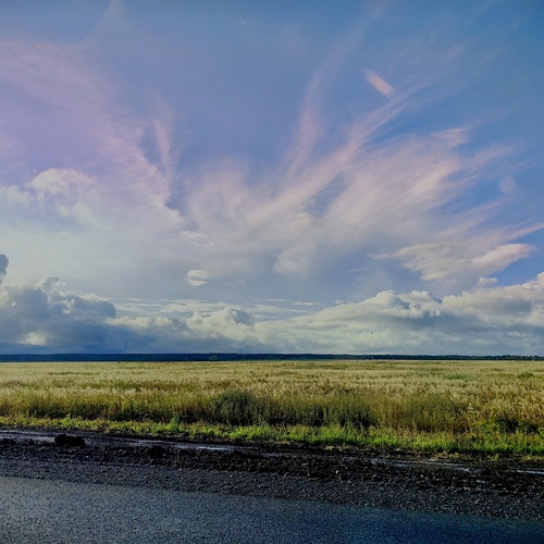 Photo #13766360