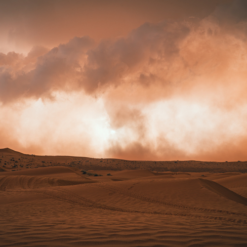 Photo #13766422