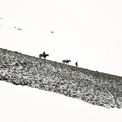 Photo #13766426