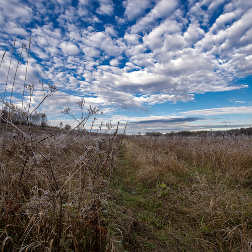 Photo #13766489