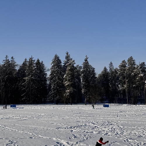 Photo #13766493