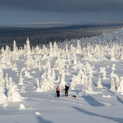 Photo #13766573