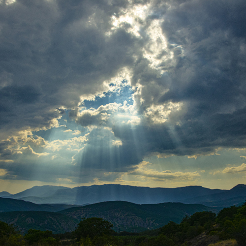 Photo #13766594