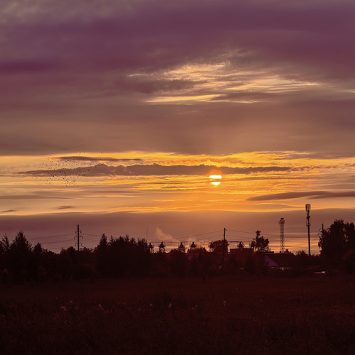 Photo #13766644