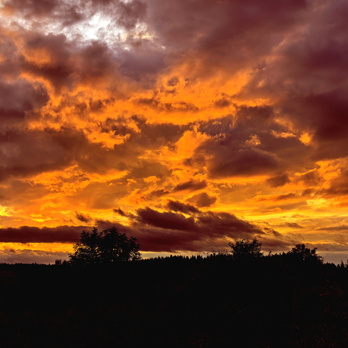 Photo #13766645
