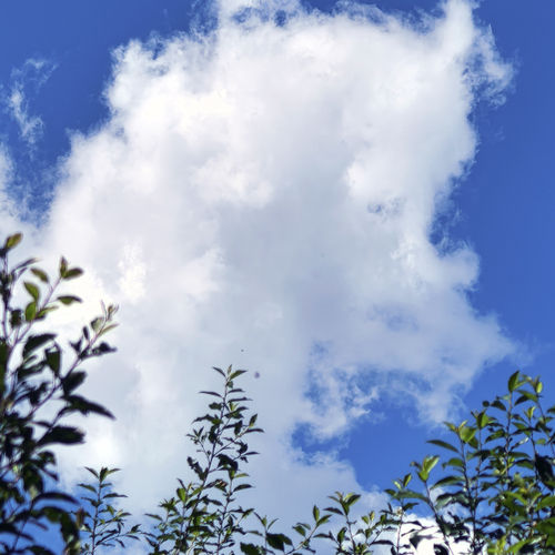 Photo #13766657