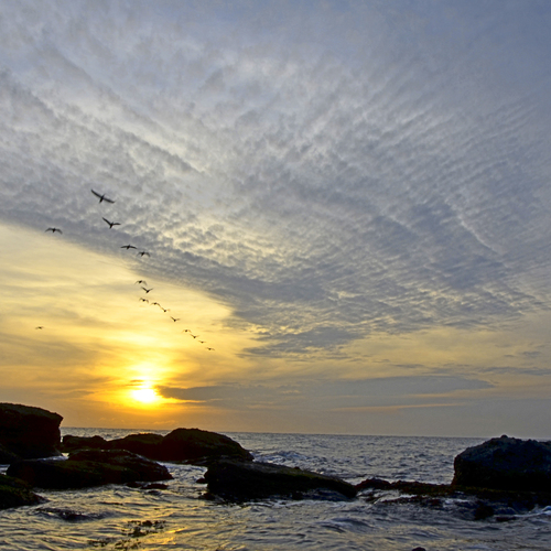 Photo #13766667