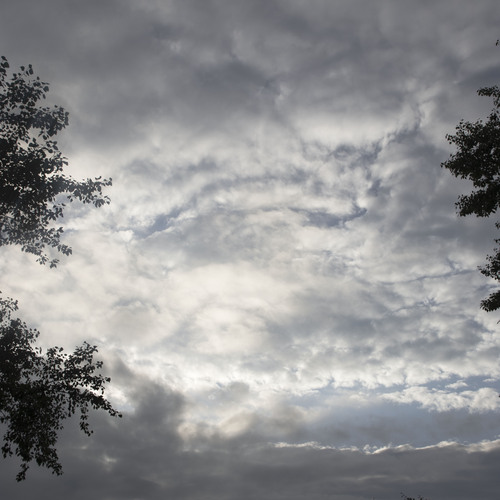 Photo #13766679