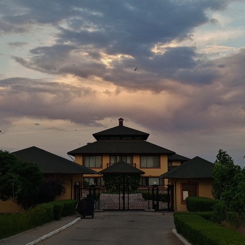 Photo #13766735