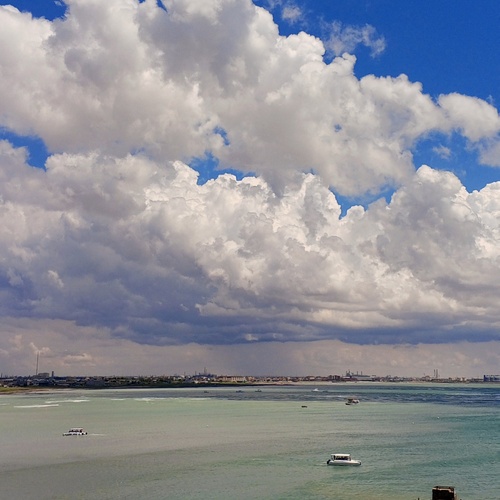 Photo #13766746