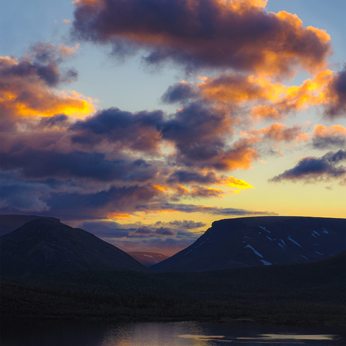 Photo #13766754